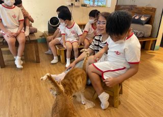 2023-24 參觀貓舍 <br /> Visit Tai O Stray Cat Home
