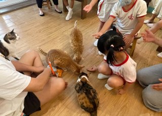 IMG_3480-1