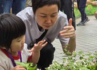 2024-25 參觀香港公園之霍士傑溫室 Visit the Forsgate Conservatory