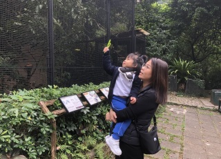 2024-25 親子秋季旅行 Parent-child Activity(Autumn)
